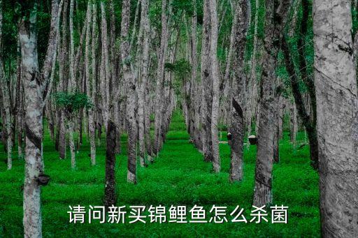 請問新買錦鯉魚怎么殺菌