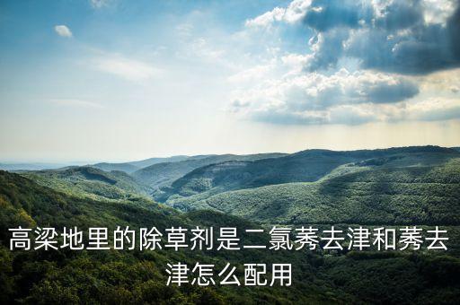 高梁地里的除草劑是二氯莠去津和莠去津怎么配用