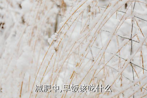 減肥中,早飯該吃什么