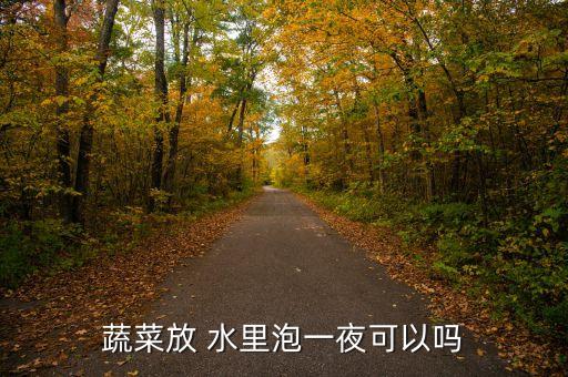 蔬菜放 水里泡一夜可以嗎