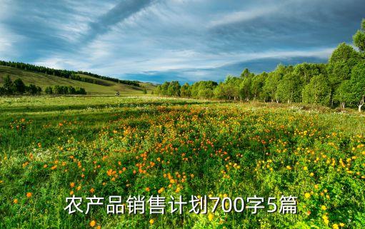 農產品銷售計劃700字5篇