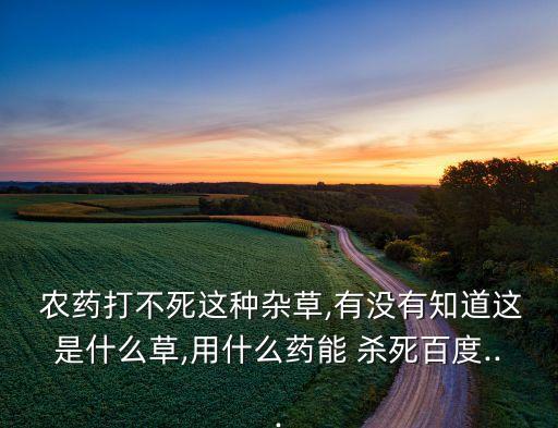什么農(nóng)藥能殺死馬子草蟲