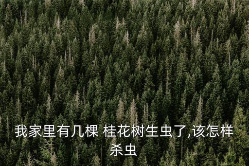 桂花樹用什么農藥最好,什么農藥可以殺死桂花樹