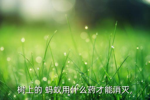 芋頭有螞蟻用什么農藥,芋頭蟲用什么農藥