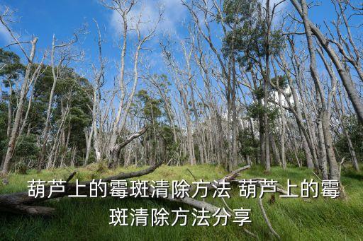 葫蘆上的霉斑清除方法 葫蘆上的霉斑清除方法分享