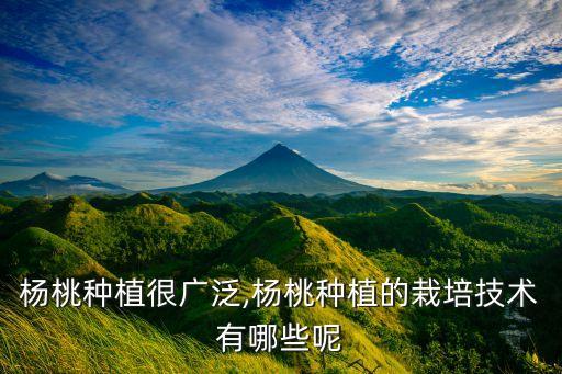 楊桃種植很廣泛,楊桃種植的栽培技術有哪些呢