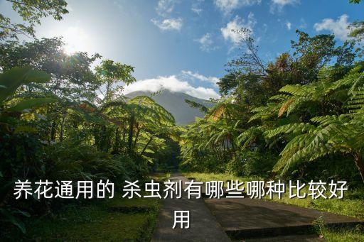 養花通用的 殺蟲劑有哪些哪種比較好用