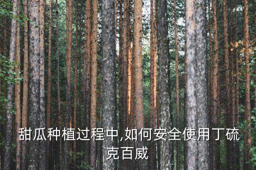 種甜瓜需要打什么農藥嗎