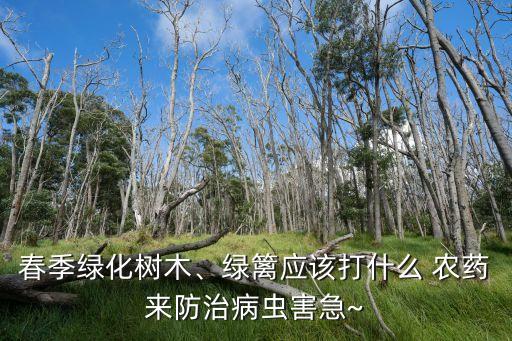 什么農藥打秧苗最好呢圖片,一般什么時間打農藥最好