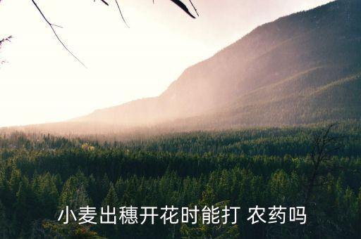 小麥噴農藥有什么用處,現在小麥打什么農藥