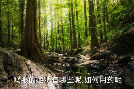 什么農(nóng)藥能使雞眼失明,雞眼失明用什么藥