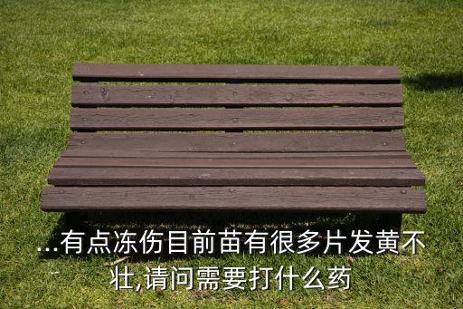 ...有點凍傷目前苗有很多片發黃不壯,請問需要打什么藥