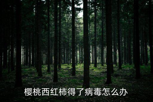 櫻桃西紅柿得了病毒怎么辦