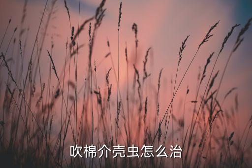 治療蚧殼蟲的農藥有哪些,什么農藥蚧殼蟲