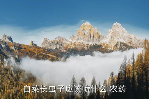 白菜長蟲子應該噴什么 農藥
