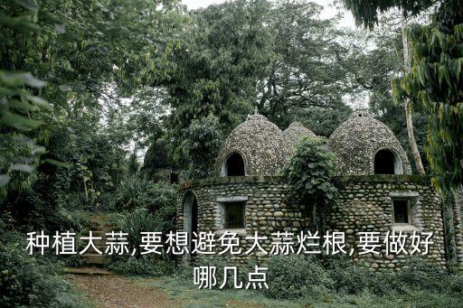 種植大蒜,要想避免大蒜爛根,要做好哪幾點