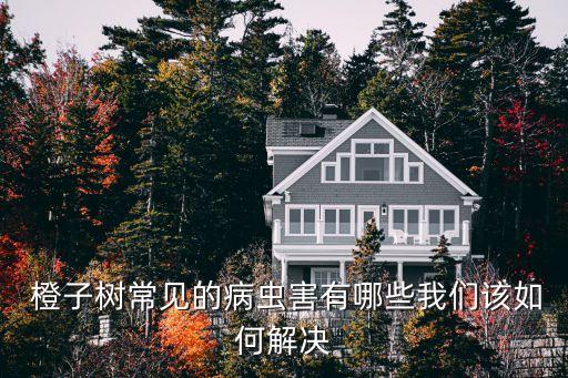 橙子樹流膠病用什么農藥