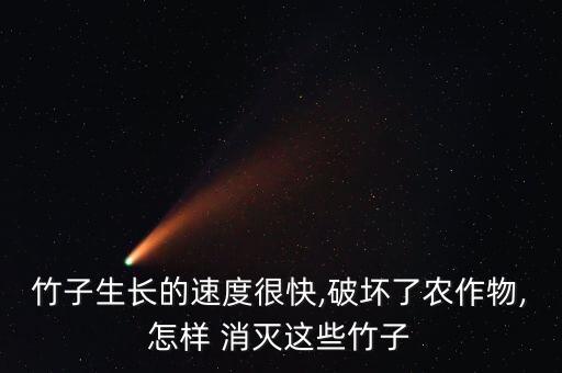 竹子生長的速度很快,破壞了農(nóng)作物,怎樣 消滅這些竹子