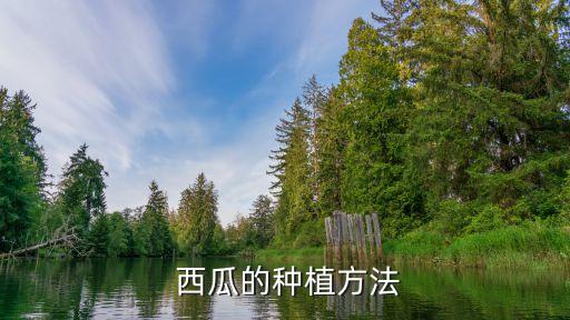  西瓜的種植方法