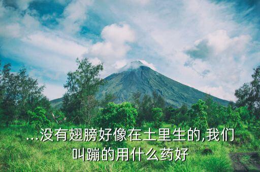 殺滅地里的跳蟲什么農(nóng)藥好