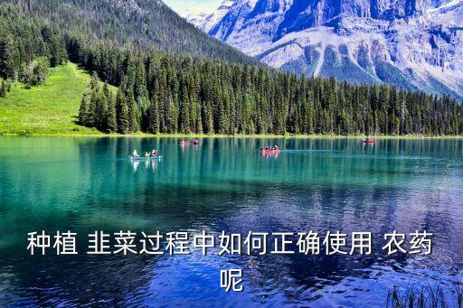 韭菜用什么洗去農(nóng)藥,韭菜不能打什么農(nóng)藥水