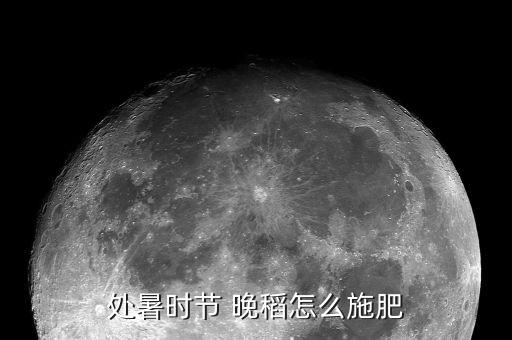 處暑時節 晚稻怎么施肥
