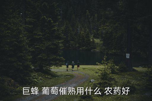 葡萄用的農藥推薦什么品牌