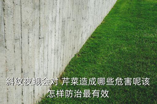 芹菜綠蟲用什么農藥,芹菜上一般打什么農藥