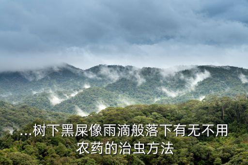 ...樹下黑屎像雨滴般落下有無不用 農藥的治蟲方法