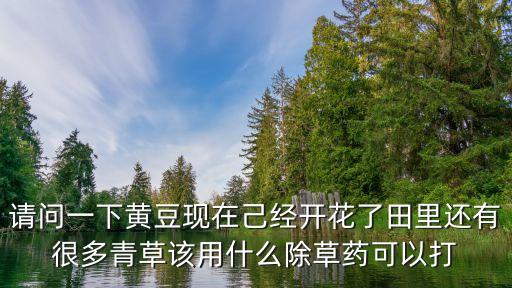 請問一下黃豆現在己經開花了田里還有很多青草該用什么除草藥可以打