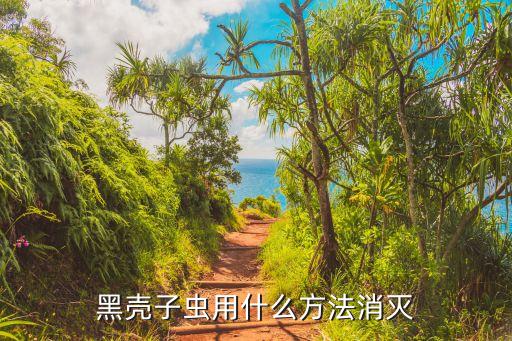 黑殼子蟲用什么方法消滅