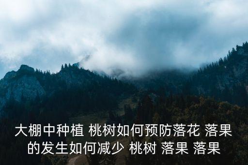 大棚中種植 桃樹如何預防落花 落果的發生如何減少 桃樹 落果 落果