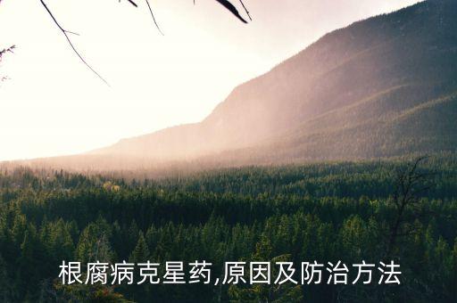  根腐病克星藥,原因及防治方法