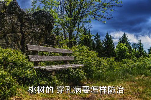 桃樹打什么農藥防穿孔病,桃樹害蟲用什么農藥