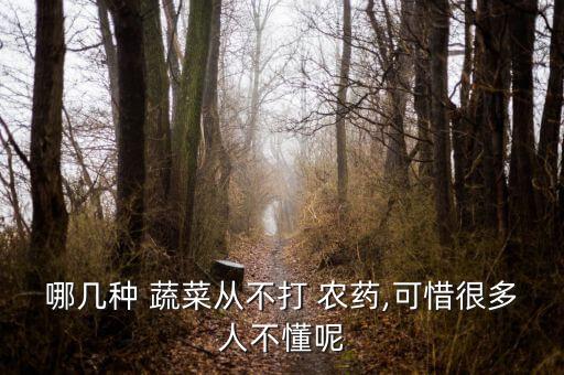 什么是無農藥蔬菜,洗蔬菜用什么洗去農藥