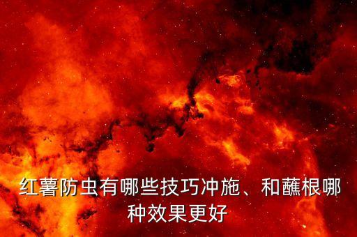  紅薯防蟲有哪些技巧沖施、和蘸根哪種效果更好