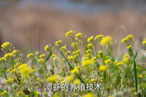 河蝦什么農藥中毒