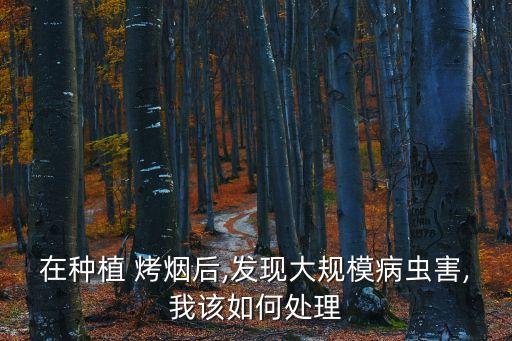 在種植 烤煙后,發現大規模病蟲害,我該如何處理