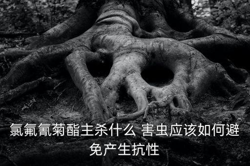 專治花害蟲的農藥是什么,農藥對害蟲定向選擇是什么意思
