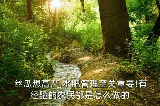  絲瓜想高產(chǎn),水肥管理至關(guān)重要!有經(jīng)驗的農(nóng)民都是怎么做的