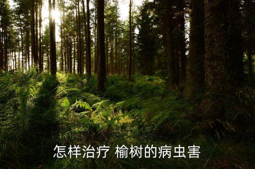 怎樣治療 榆樹的病蟲害