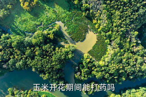 噴灑多菌靈農藥什么時候最合適,玉米什么時候噴灑農藥