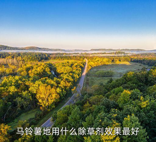 馬鈴薯地用什么除草劑效果最好