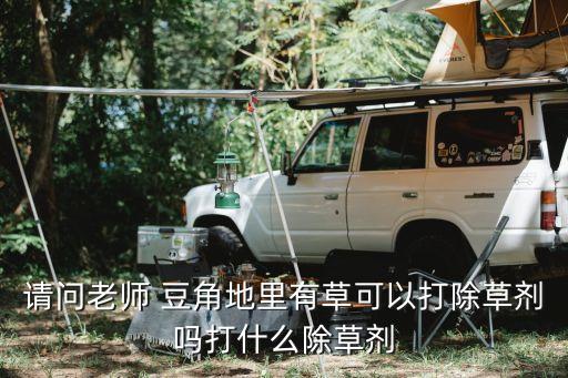 請問老師 豆角地里有草可以打除草劑嗎打什么除草劑