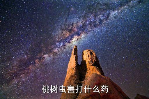 什么農藥治桃樹穿孔病好用