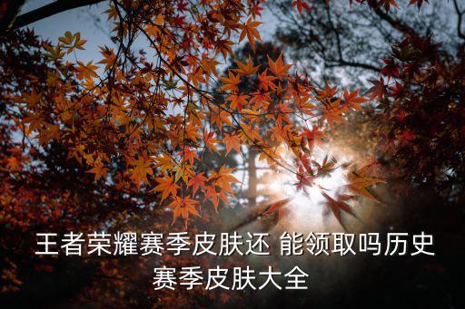  王者榮耀賽季皮膚還 能領取嗎歷史賽季皮膚大全