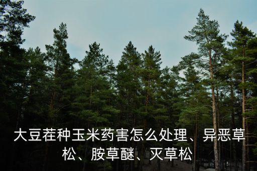 種植大豆最怕什么農藥殘留
