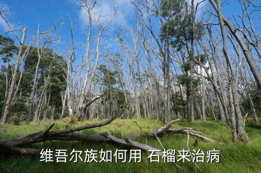 石榴皮用什么農(nóng)藥,喝石榴皮水有什么功效