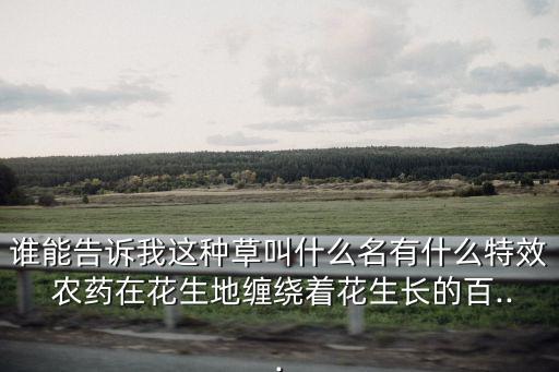 誰能告訴我這種草叫什么名有什么特效 農藥在花生地纏繞著花生長的百...