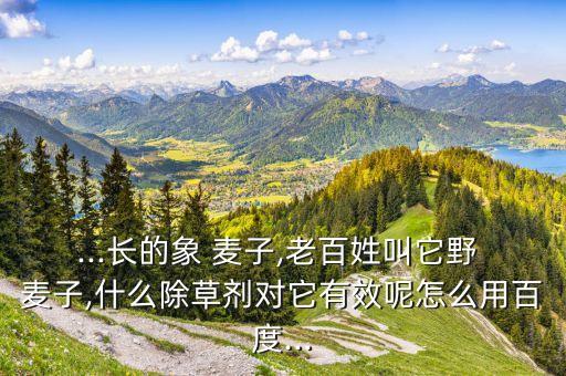 ...長的象 麥子,老百姓叫它野 麥子,什么除草劑對它有效呢怎么用百度...